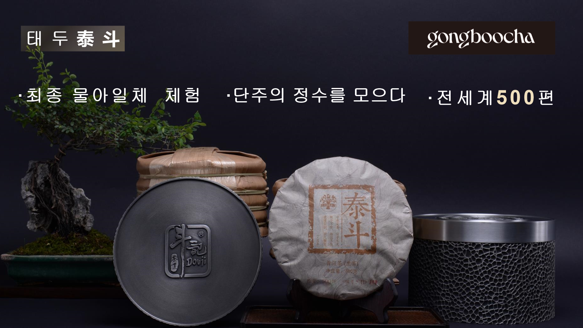 [500년 일회] 17년 태두(泰斗)청병(긴병紧饼) 400g 단주고수 균형풍