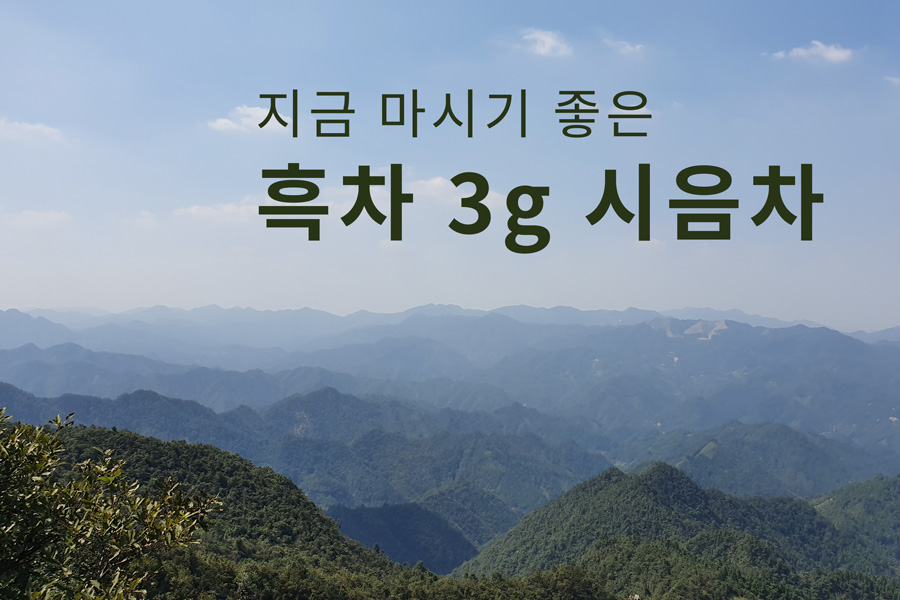 구매에 도움 주는 공부용 하우스티 흑차 시음차 3g 판매